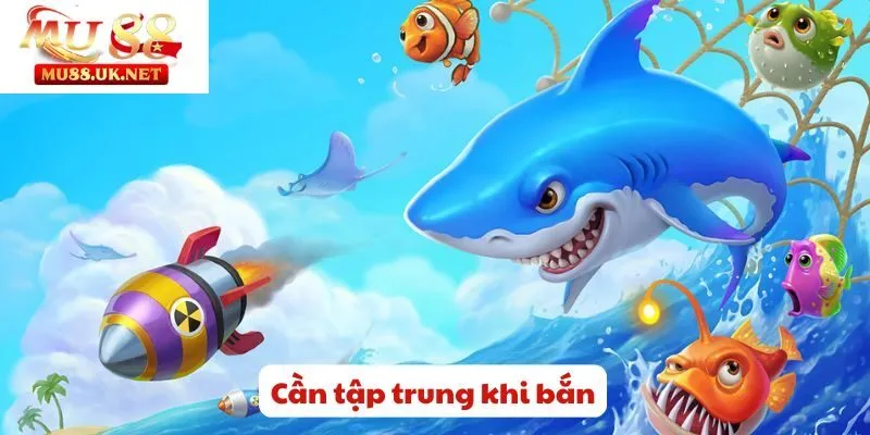 Cần tập trung khi bắn
