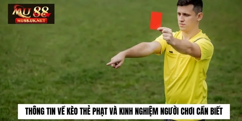Thông Tin Về Kèo Thẻ Phạt Và Kinh Nghiệm Người Chơi Cần Biết