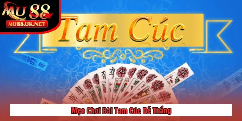 Mẹo Chơi Bài Tam Cúc Dễ Thắng